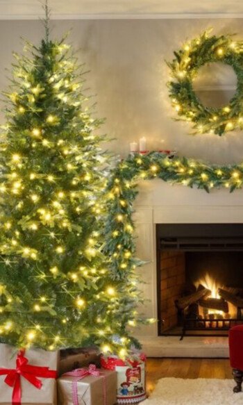 Budget-Friendly Decor