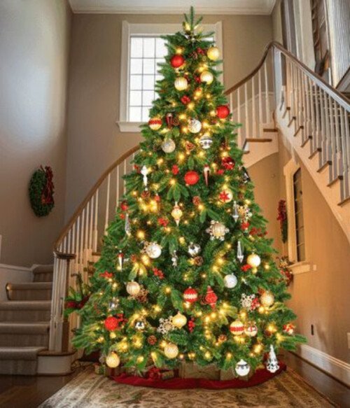 Classic Evergreen Elegance