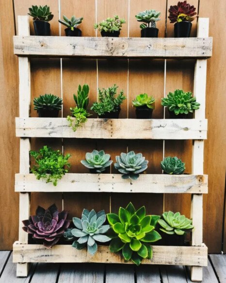 Pallet Planters