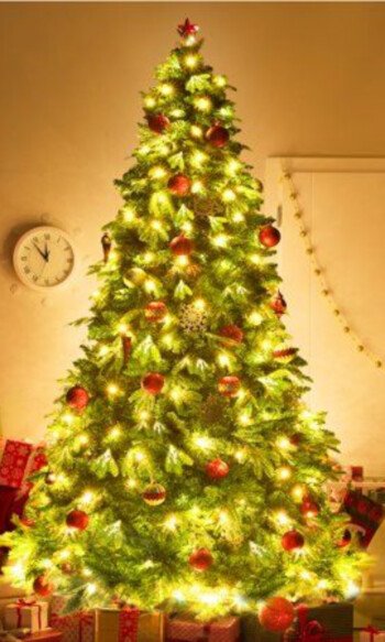 Traditional Red and Green