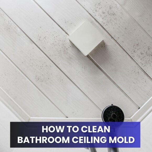 How to Clean Bathroom Ceiling Mold